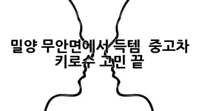 밀양 무안면에서 득템?! 🚗 중고차 키로수 고민 끝!